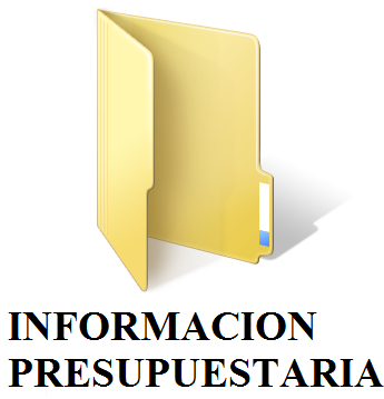 INFORMACION PRESUPUESTARIA