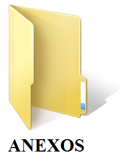 ANEXOS